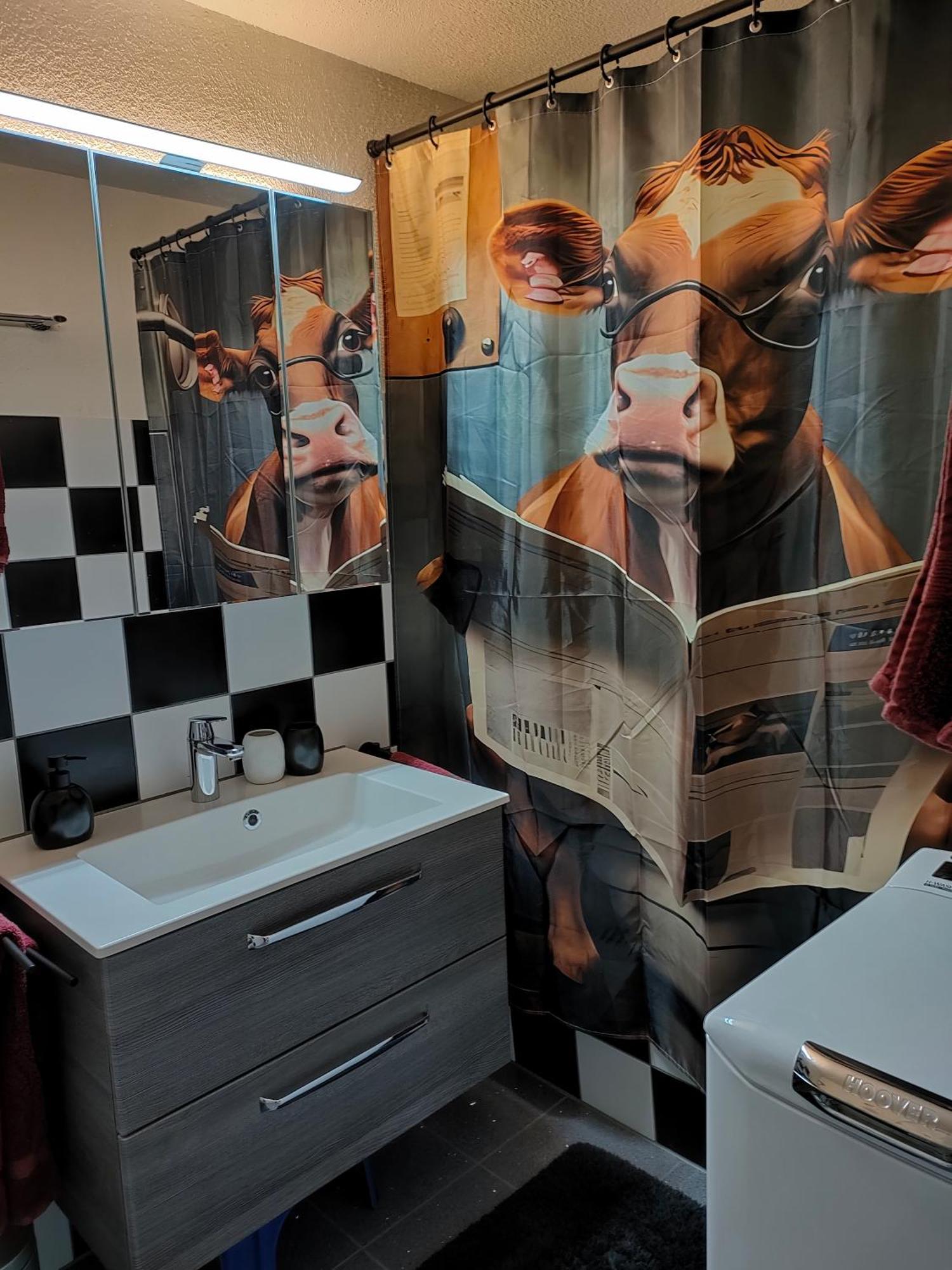 Camenzind Διαμέρισμα Gersau Εξωτερικό φωτογραφία